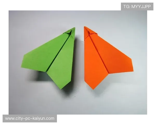 世界纸飞机大赛：飞得最远的设计是什么？，世界飞得最远纸飞机怎么折